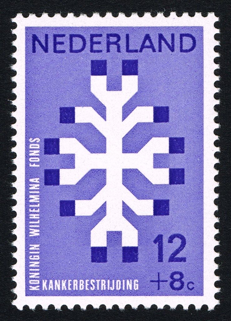 Downhill Brewing - Parker