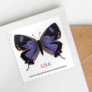 Colorado Hairstreak  stamp collectible - Main Image 2