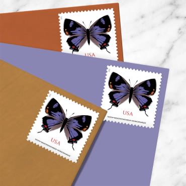 Colorado Hairstreak  stamp collectible - Main Image 3