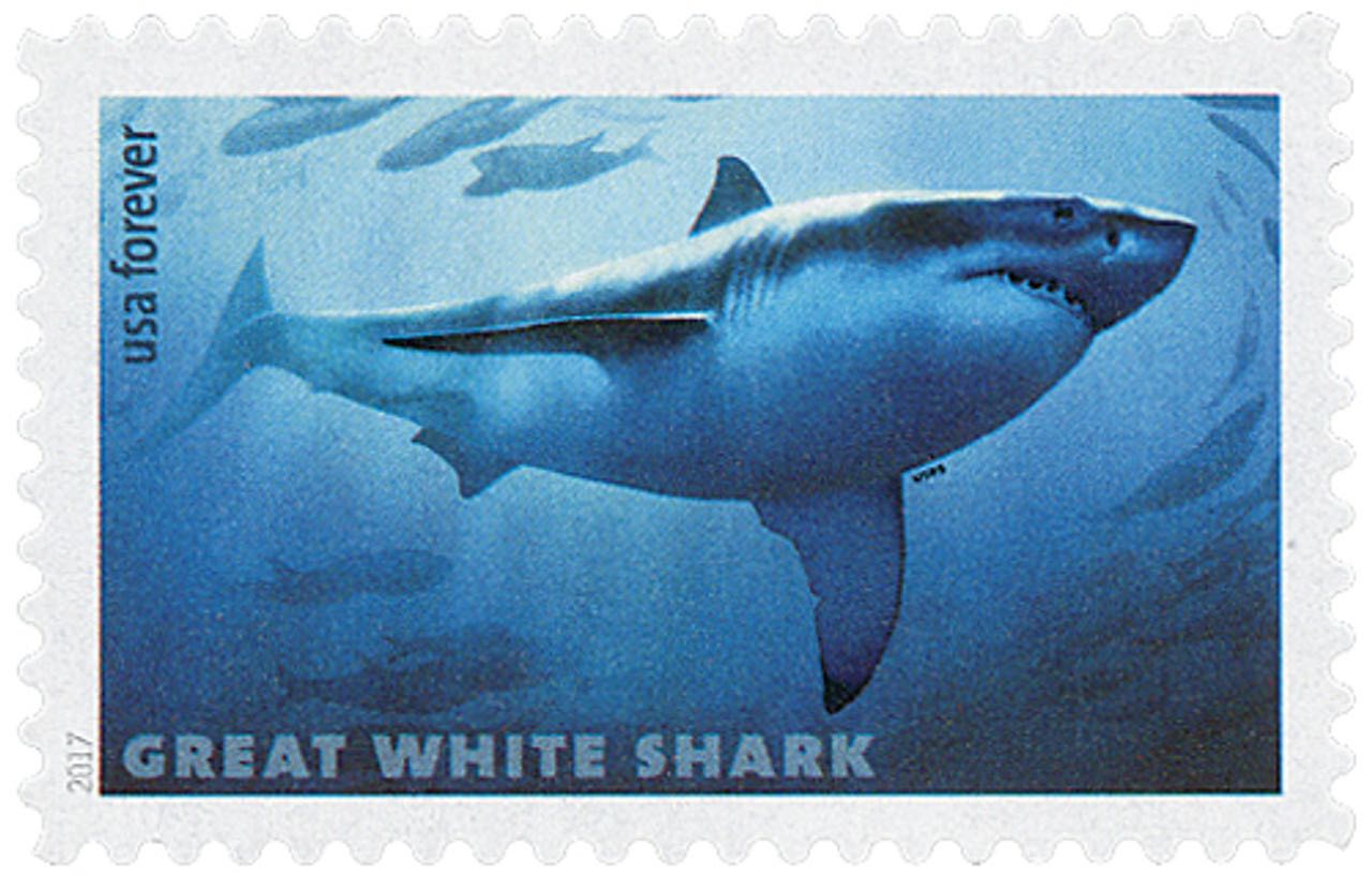 SHARKS  stamp collectible - Main Image 2