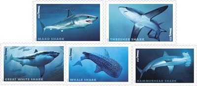 SHARKS  stamp collectible - Main Image 3