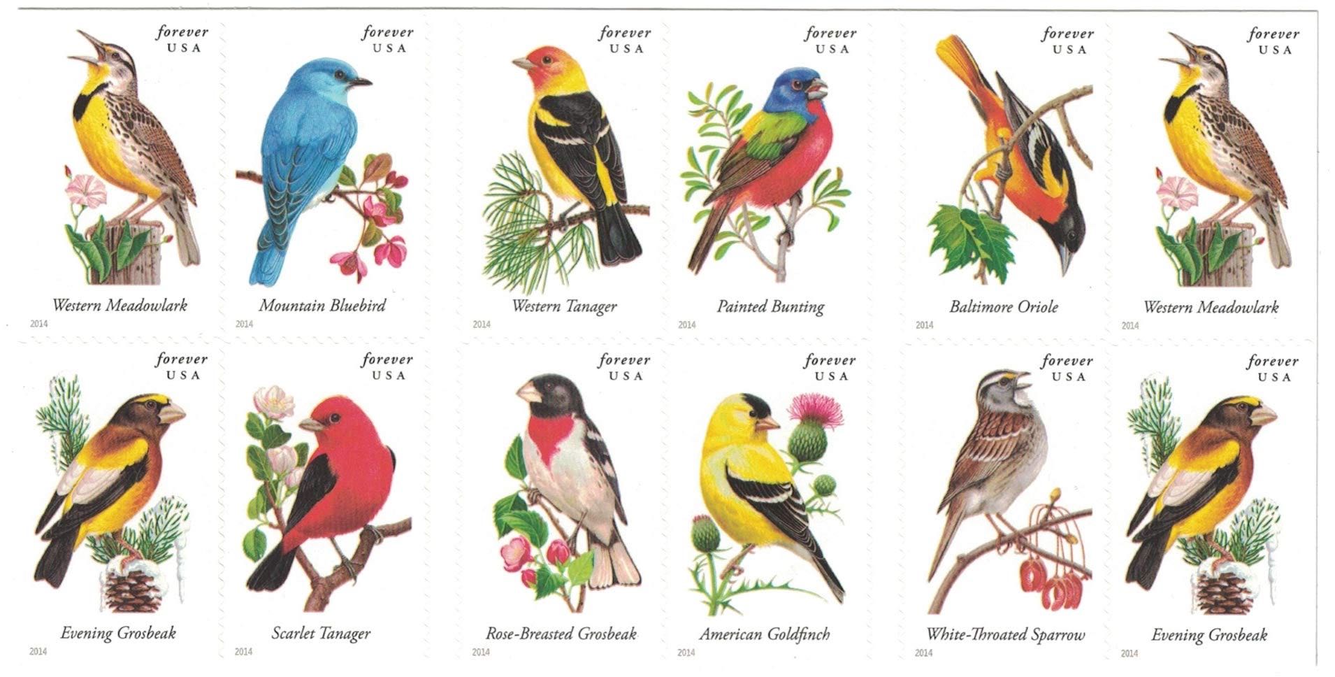 1956 Olympic Melbourne Summer