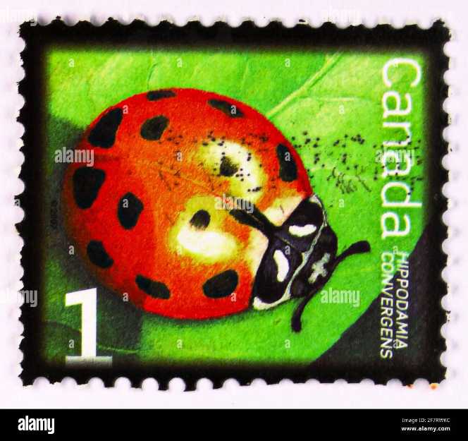 Czechoslovakian 1962 Collection