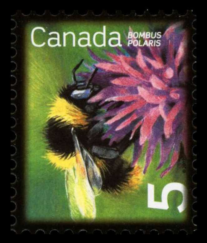 Republique De Guinée - Sharing Cultures