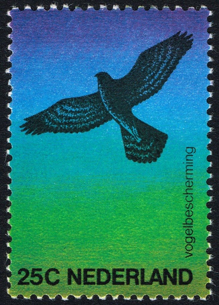 1198-1201. Флора. Российская Федерация - Корейская Народная Демократическая Республика