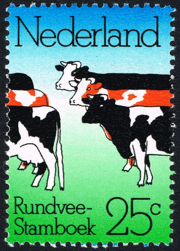 Incan and Modern Mail Deliverers