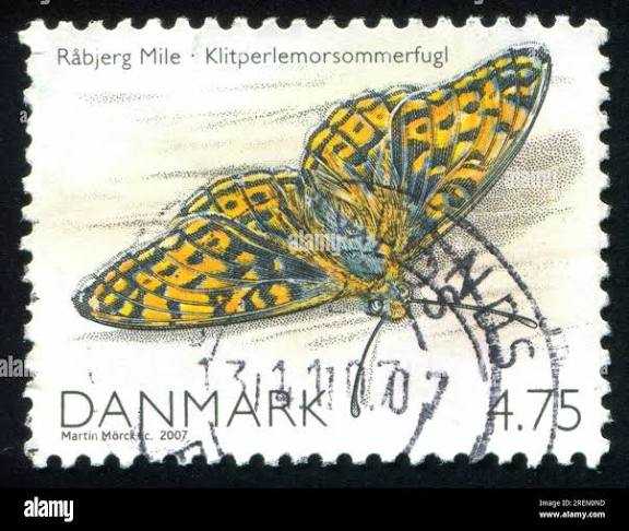 1976 Olympic Montreal Summer