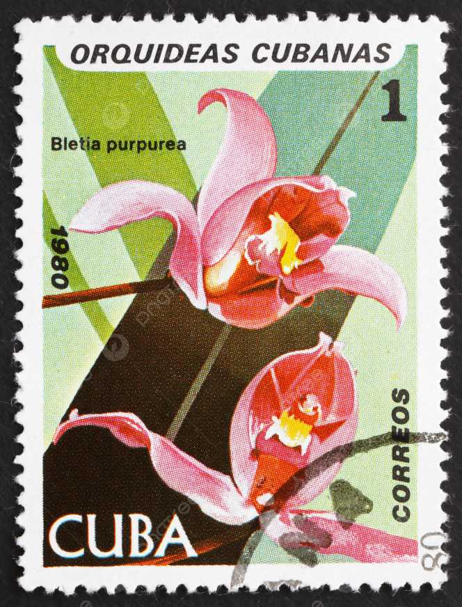 1976 Olympic Montreal Summer