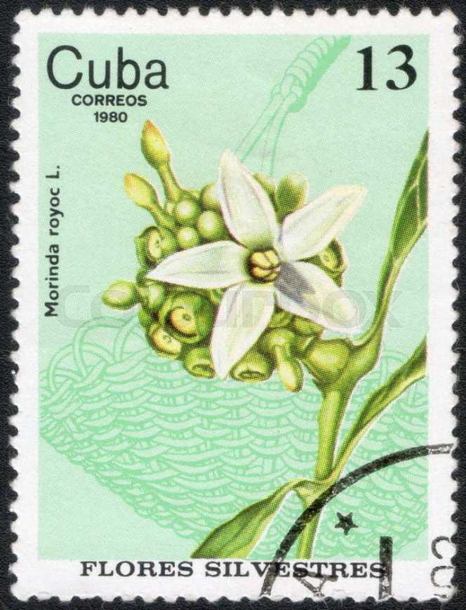 1954-1957. Серия «Фауна России. Служебные породы собак»