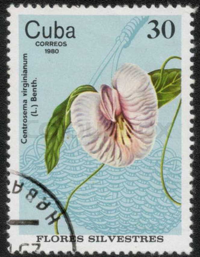 2051 . 175 лет со дня рождения А.И. Куинджи (1841–1910), живописца