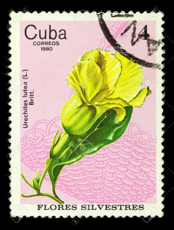 50 лет БелАЗу.