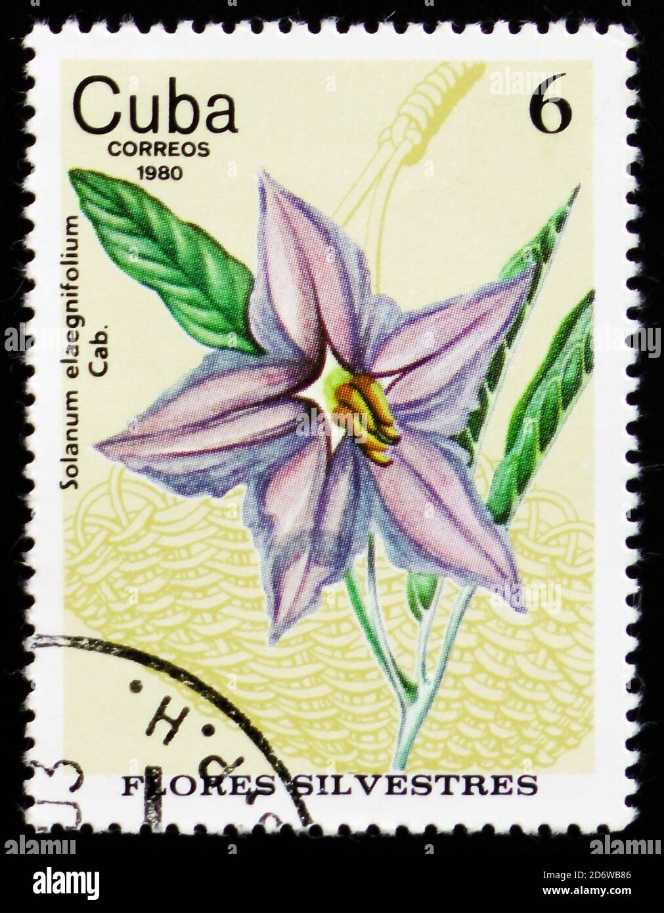 3449-3450. Совместный выпуск Российской Федерации и Доминиканской Республики. К 80-летию установления дипломатических отношений. Декоративно-прикладное искусство. Куклы