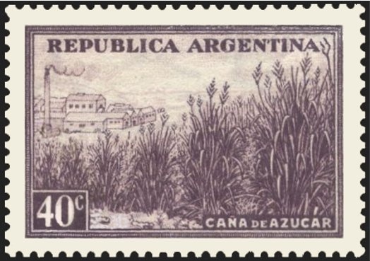 Launch of Rockets in the Argentine Antarctic