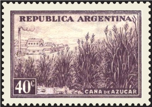 Flight Allegory, Aircrafts