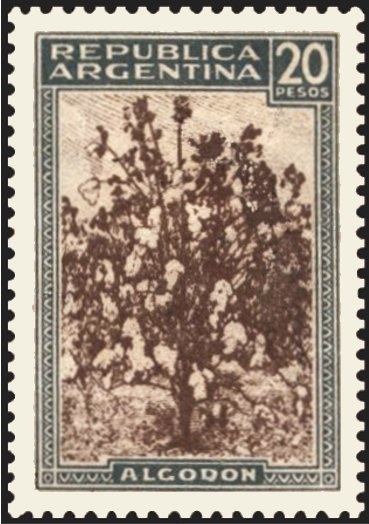 Soldier of the Arribeños Regiment