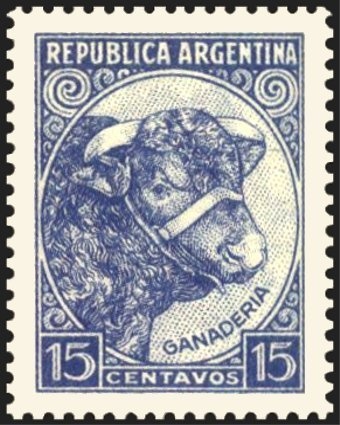 Mother's Day (Dia de la Madre)