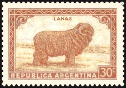 Flor de Patito (Oncidium bifolium) - Fluo