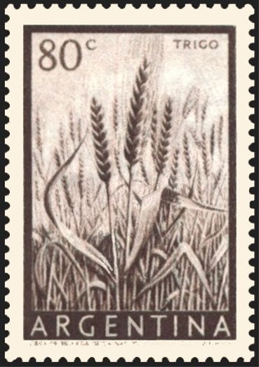 Rapatriation of scientists