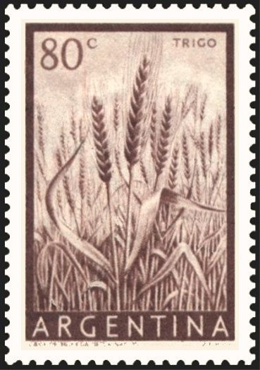 Cabildo de Buenos Aires