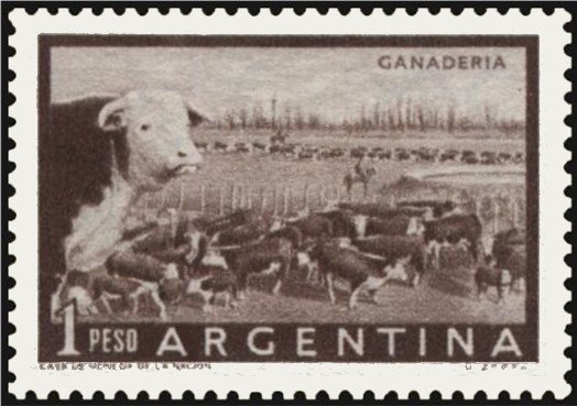 Neotropic Cormorant (Nannopterum brasilianum)