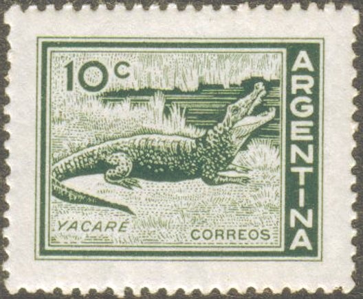 Winter Sports in Bariloche