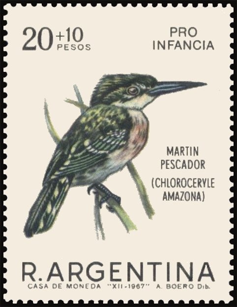 Patito (Aristolochia littoralis)