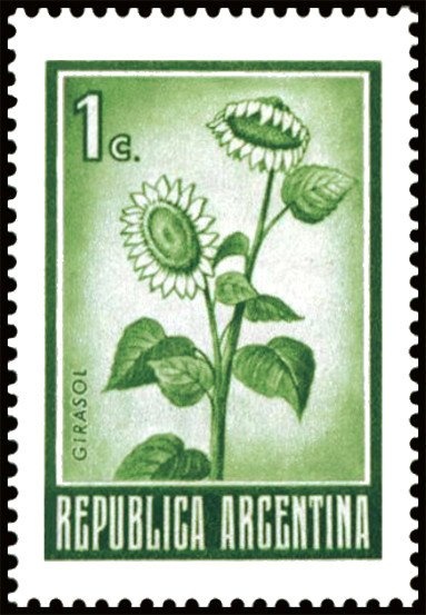 Mburucuyà (Passiflora coerulea) - Fluo