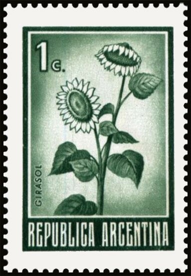 House of Indipendence, Tucuman