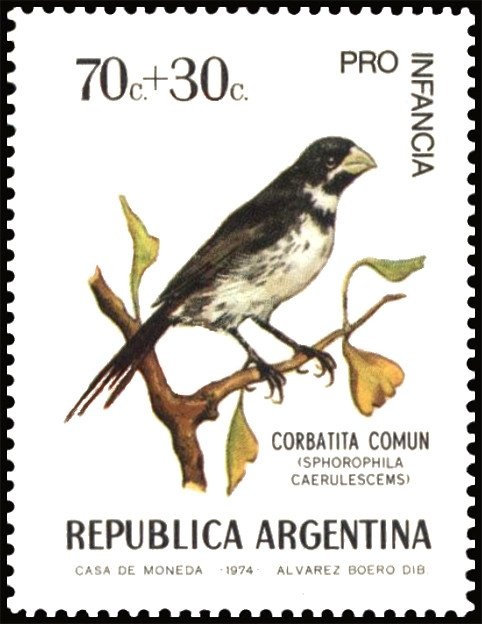 Domingo Faustino Sarmiento (1811-1888)