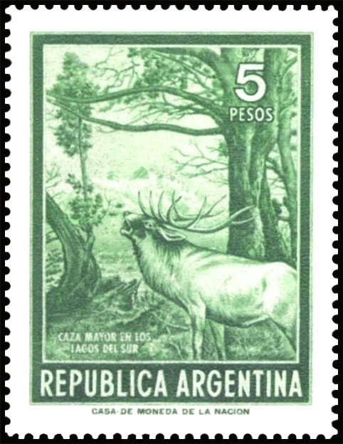 Notro - Ciruelillo (Embothrium coccineum) - Fluo