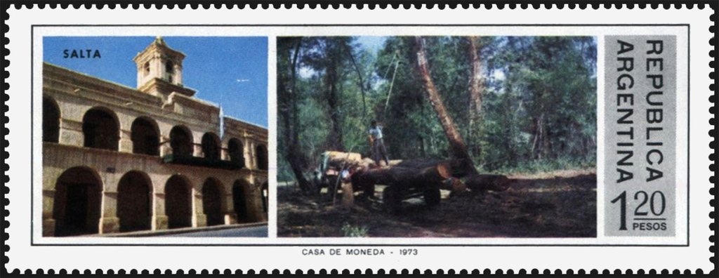 Amancay (Alstroemeria aurantiaca)