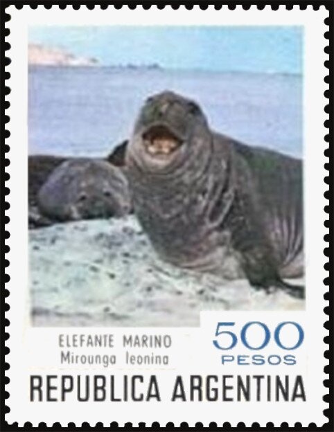 Sugarcane plantation