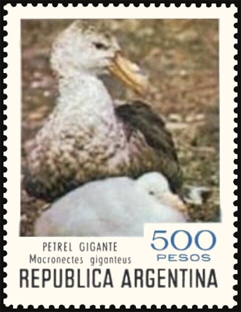 Mapuche Culture, Andean Vertical Loom