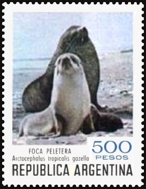 Working-class Family and New Home