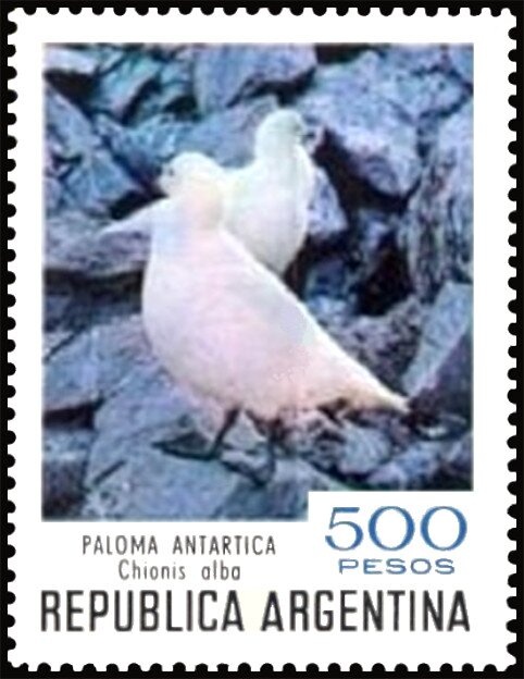 Overprint "Aéreo 5,60 pesos"