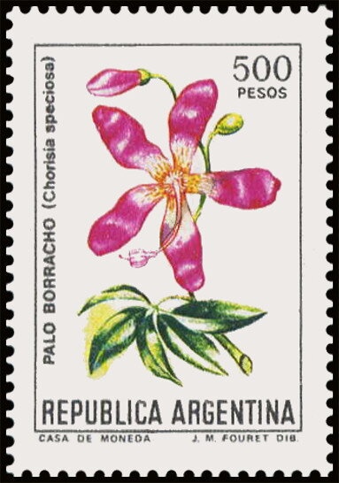 Flor Malvinense (Oxalis enneaphylla) - Fluo