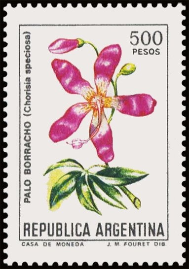 Ceibo (Erythrina crista-galli)