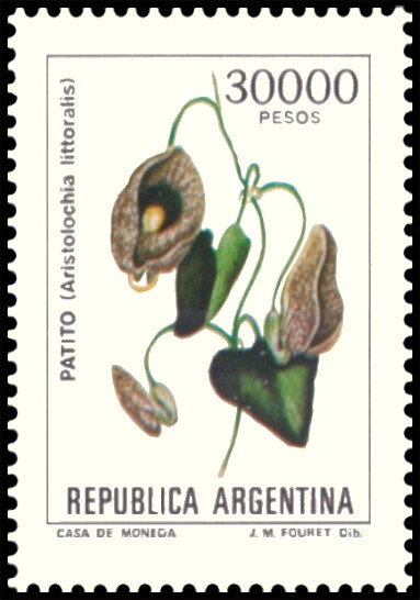 Chané Culture, Ceremonial Mask