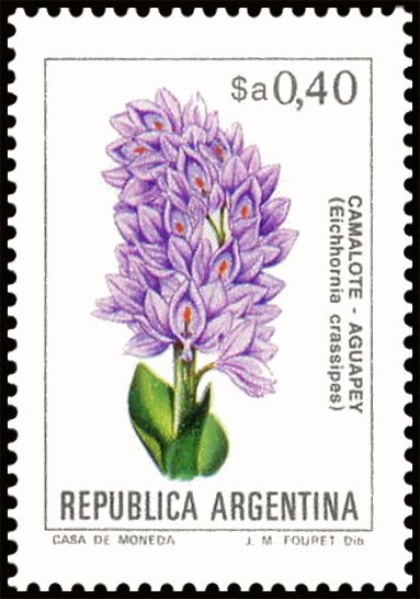 José Francisco de San Martíin (1778-1850), ovpt. "M.G."