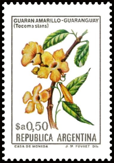 YCF (Yacimentos Carboniferos Fiscales)