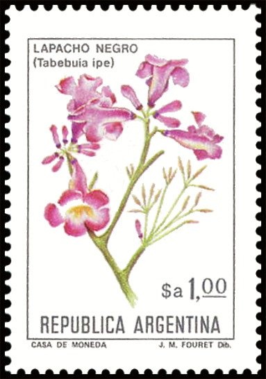 José Francisco de San Martin (1778-1850), ovpt. "M.G."