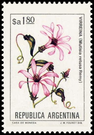 Servicio Sanitario - Municipal coat of arms