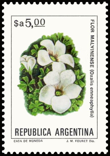 José Francisco de San Martin (1778-1850)