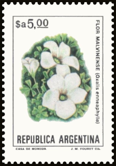 José Francisco de San Martin (1778-1850)