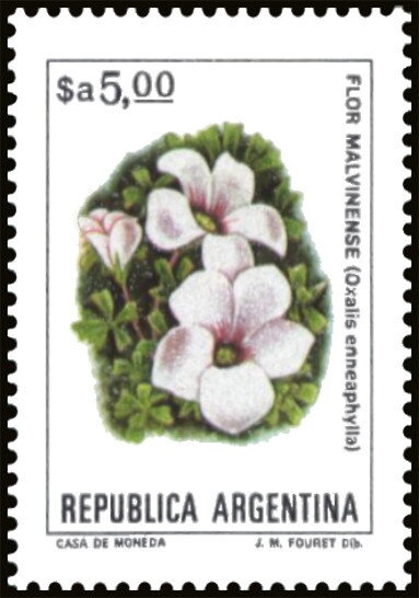 Peninsula Valdes, Chubut - Security mark left