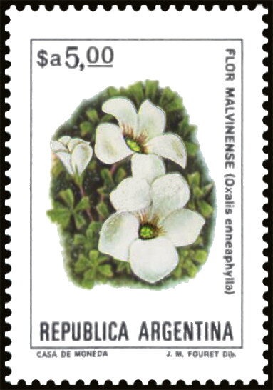 South America Map without borderlines, ovpt. (12¼ mm)