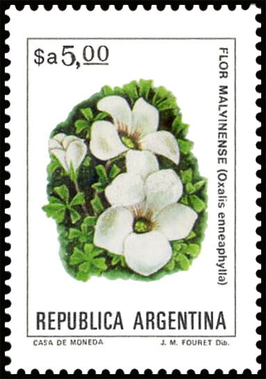 Guillermo Brown (1777-1857)