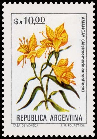 Map of South America without borderlines, ovpt. “M.J.I.”