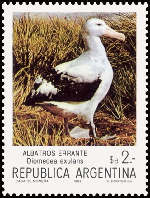 José Francisco de San Martín (1778-1850)