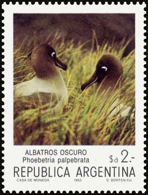 100 years of La Plata, Allegory (eyes)